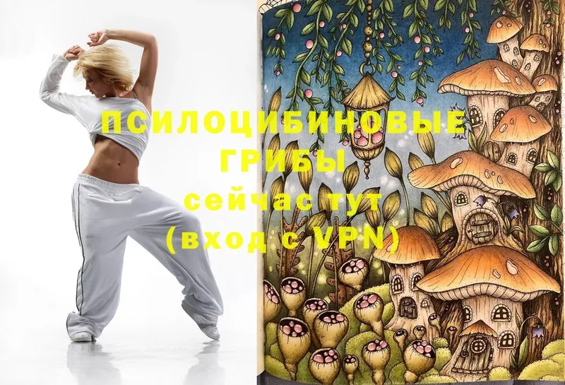 Галлюциногенные грибы Magic Shrooms  где продают   Семилуки 